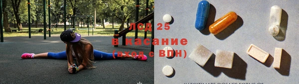 дживик Бородино