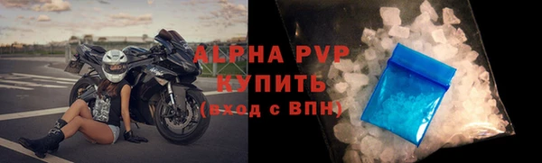 дживик Бородино