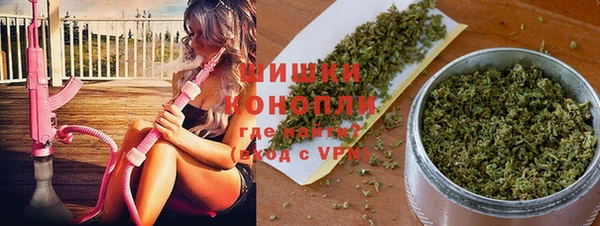 молекула духа Бронницы