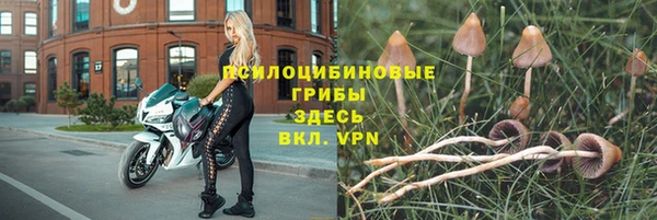молекула духа Бронницы