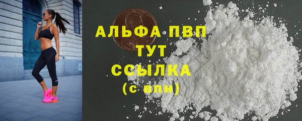 молекула духа Бронницы