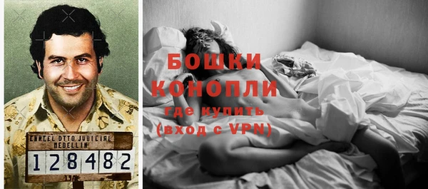 молекула духа Бронницы