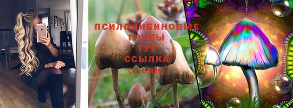 молекула духа Бронницы
